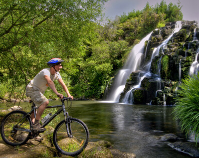 JollyBikes | Hauraki Rail Trail Tours