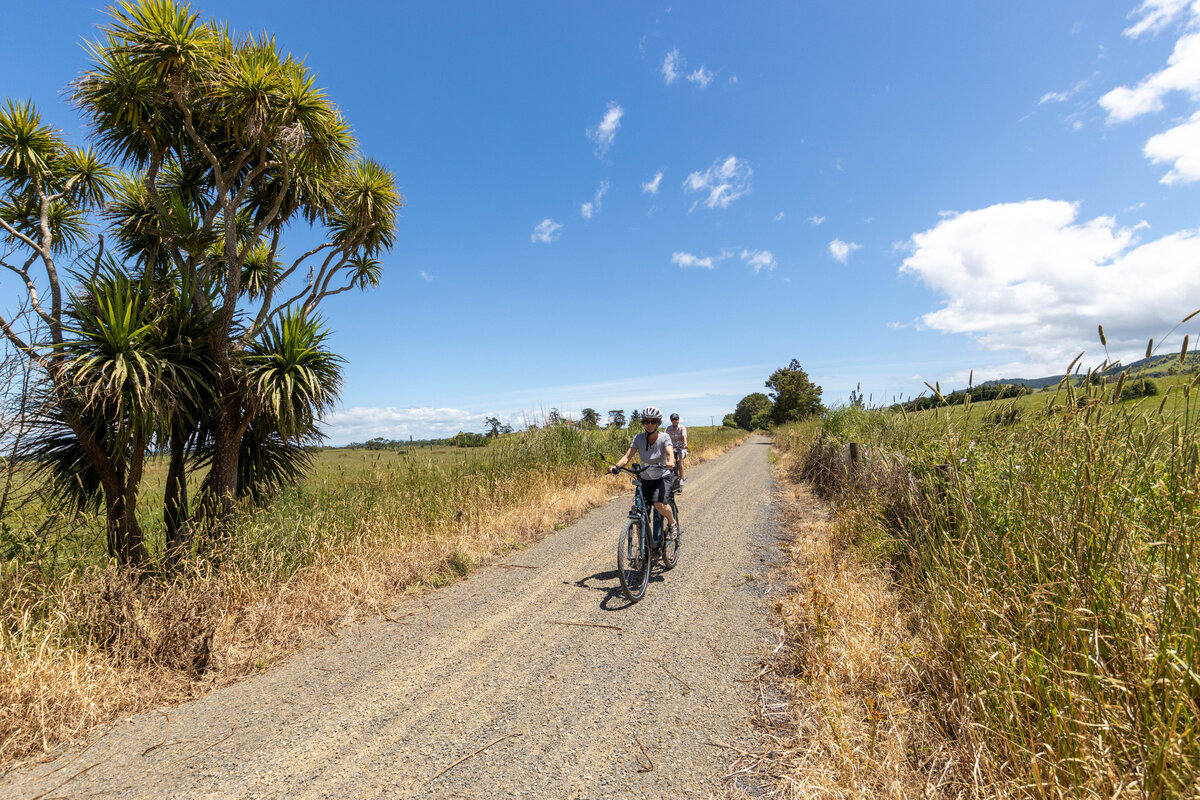 Hauraki Rail Trail Tour | 3 Day Cycling Adventure