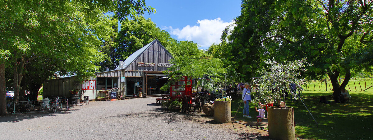 Hauraki Rail Trail Tour | ½ Day Cycling Adventure