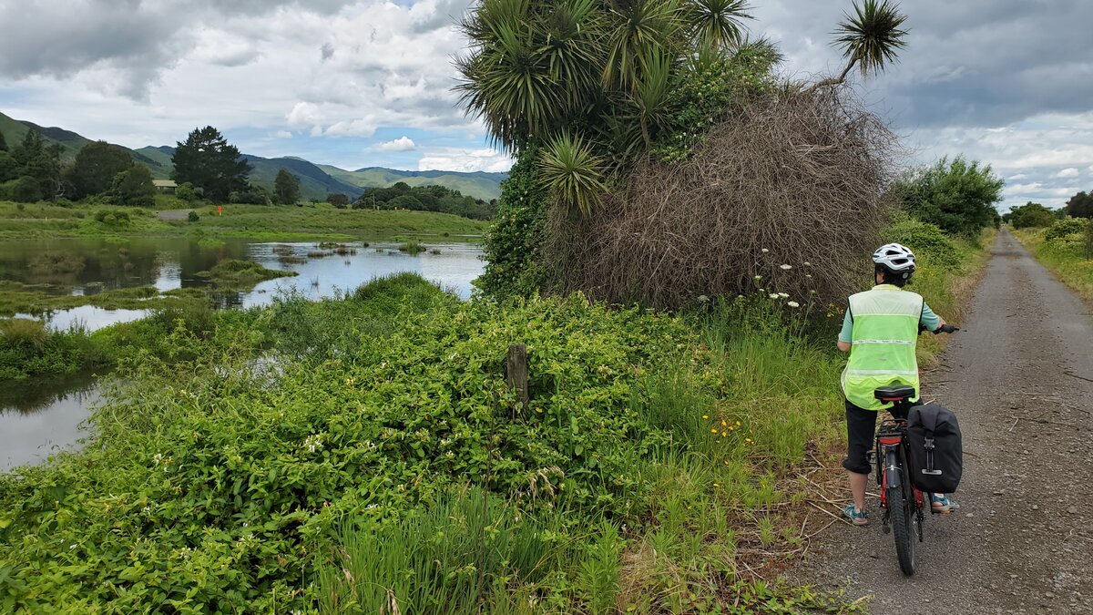 Hauraki Rail Trail Tour | 5 Day Cycling Adventure