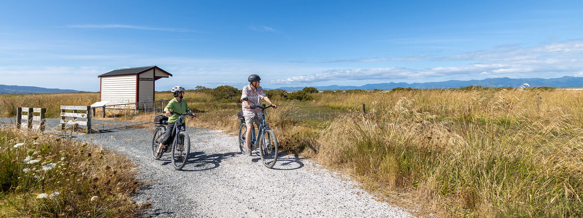 Hauraki Rail Trail Tour | 4 Day Cycling Adventure