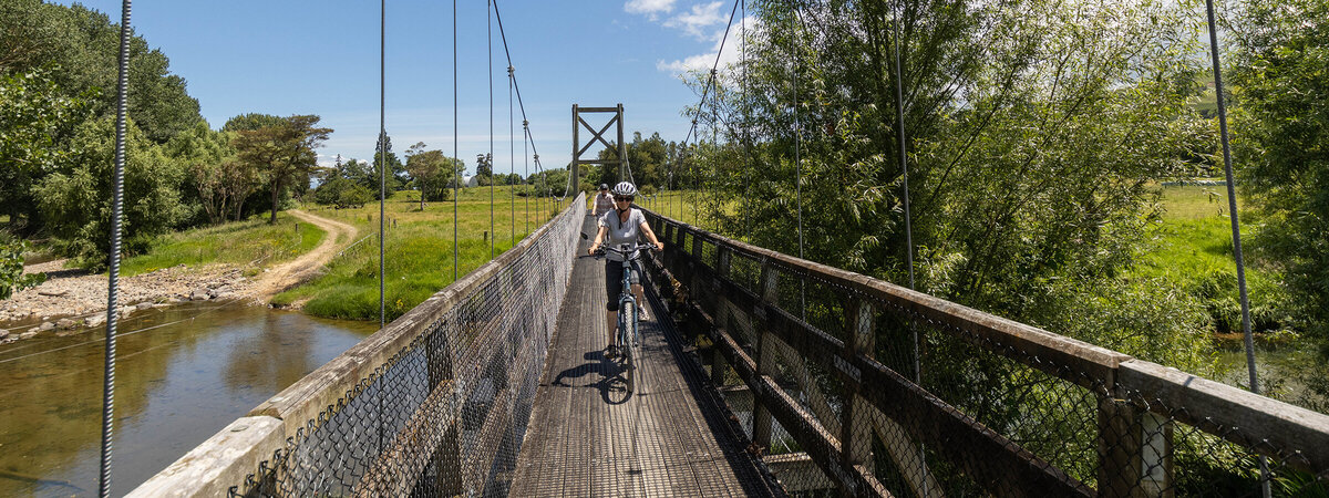 Hauraki Rail Trail Tour | 3 Day Cycling Adventure