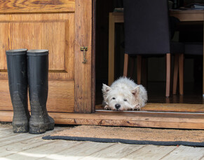 This is why Email Marketing is still so important...