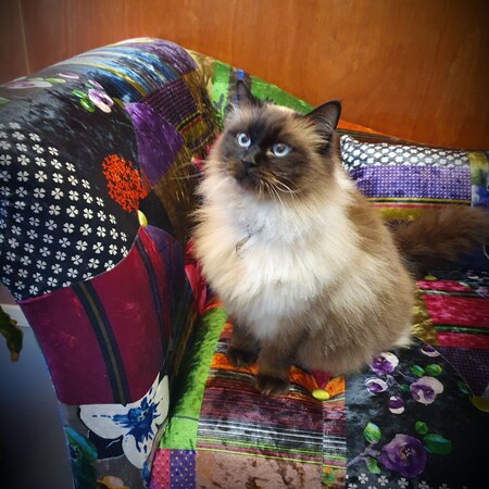 Quality Country Accommodation -  BOOK NOW