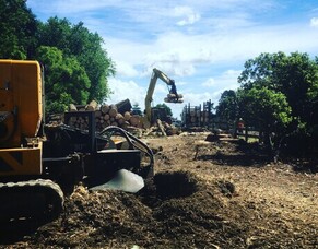 DIY Stump Grinding: Tips and Safety Precautions