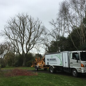 Tree Pruning hamilton