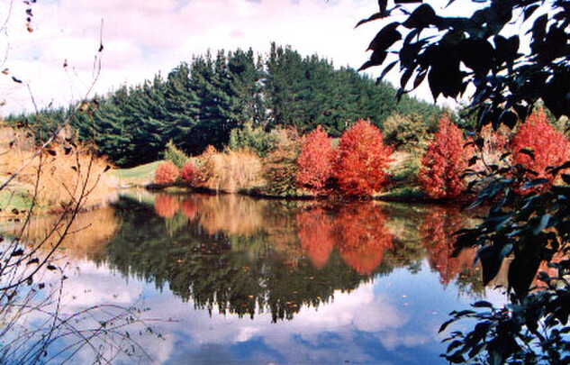 Autumn view of the lake at Hallmark