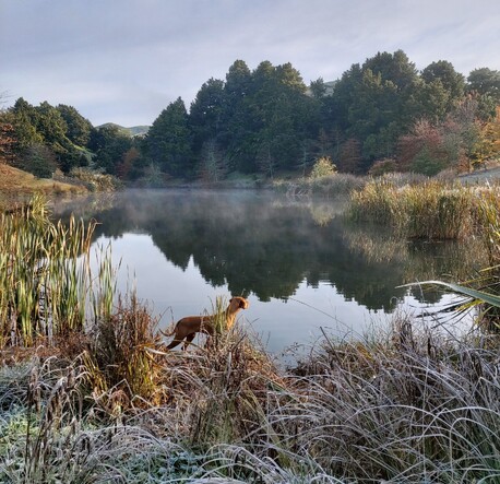 Wellness walks - Guided Walks Only Upon Request