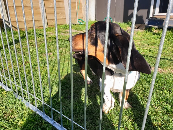 Wellington Temporary Fencing NZ Temp Fencing Wellington Temporary Fencing Hire Fence Portable Temporary Fence Construction Fencing Wellington Wairarapa Fencing Events Fencing Wellington Temp Fence Hire