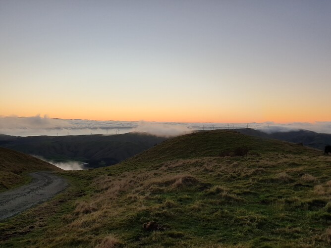 Wellington Temporary Fencing NZ Temp Fencing Wellington Temporary Fencing Hire Fence Portable Temporary Fence Construction Fencing Wellington Wairarapa Fencing Events Fencing Wellington Temp Fence Hire