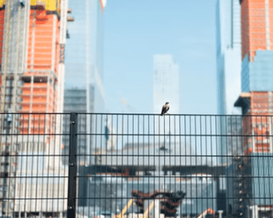 Wellington Temporary Fence Hire & Sales. Price & Service Guarantee. Commercial + Residential + Special Event Fencing Solutions. Swimming Pool + Dog run temporary or semi-permanent fencing.