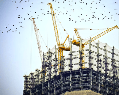 Government Project Temp Fence Wellington