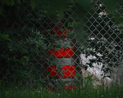 Wellington Temporary Fence Hire & Sales. Price & Service Guarantee.  Commercial + Residential + Special Event Fencing Solutions.  Swimming Pool + Dog run temporary or semi-permanent fencing.