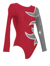 Long Sleeve Gymnastics Leotard with Pink flame on right side with White outlined in full Purple with Pink on right side sleeve