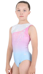 Stardust Leotard - CHILD SIZE 6-PRICE $67.99- - - - - - - - - - - - - - - - ADD TO ORDER >