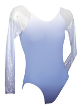 Long Sleeve Gymnastics Leotard with Silver on sleeves and Middle Cornflower