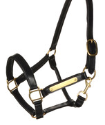 Halters & Lead Ropes