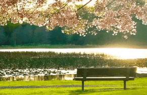 Five Cambridge Surprises You Absolutely Can&#039;t Miss