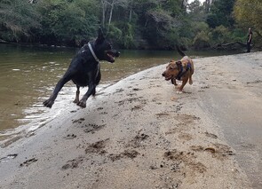 More on our service...