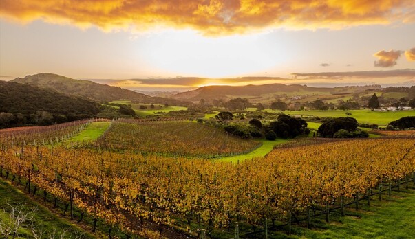 Soho&#039;s second sparkling (and other releases) for festive season