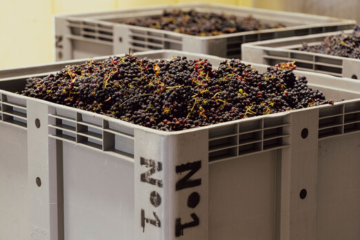 Ten of the best bubbles