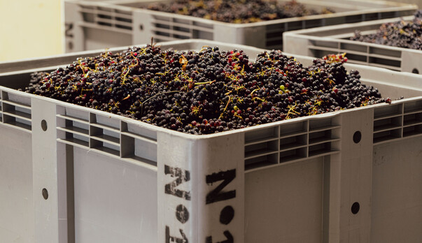 Ten of the best bubbles