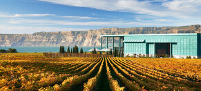 Is the gap closing in wine styles?