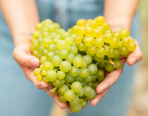 Five top drops - fabulous festive fizz from No 1