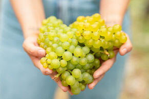 Five top drops - fabulous festive fizz from No 1