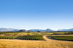 Pinot Noir in three different styles from Akitu