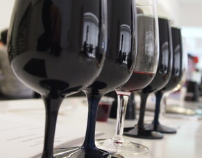 Friday drinks with an unreliable, moody, thin skinned (but strangely likeable) red grape...