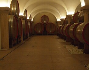 Reflections from a life in progress - and what's in my wine glass