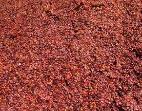 What does well aged wine taste like?