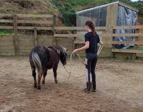 Hope Rising Farm: Growing Confidence, Connection, and Community