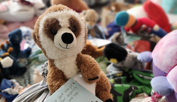 Kids in Need Waikato: A Year of Growth, Compassion, and Community Impact