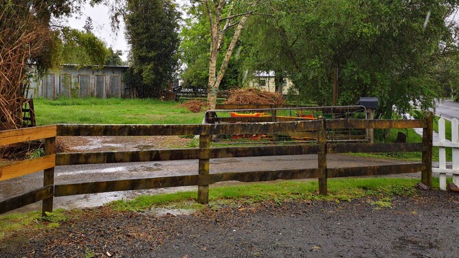 The Site!!!  day one....