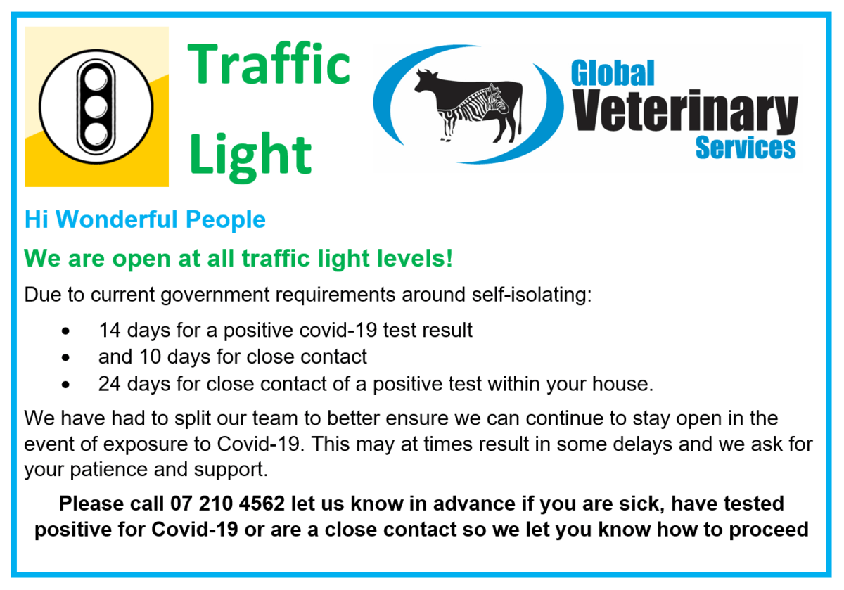 Global Veterinary Services Open with the "Traffic Light System"