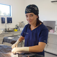 GVS vet doing surgery