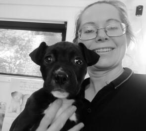 Brenda staff at Global Veterinary Services