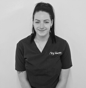 Brenda staff at Global Veterinary Services