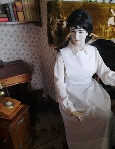 Influenza Epidemic Display at Morrinsville Museum