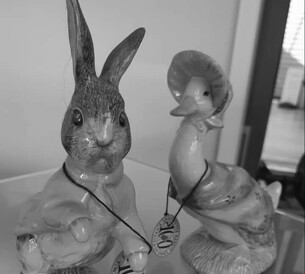 Community Colllections Displays at Morrinsville Museum