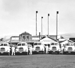 Dairying exhibition at Morrinsville Museum