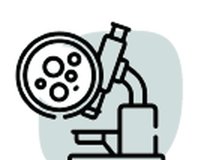 Transrectal Prostate Biopsy