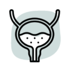 Bladder Pain