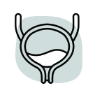 <a href="https://www.flaticon.com/free-icons/bladder" title="bladder icons">Bladder icons created by Victoruler - Flaticon</a>