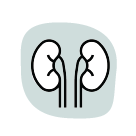 <a href=”https://www.flaticon.com/free-icons/kidney” title=”kidney icons”>Kidney icons created by monkik - Flaticon</a>