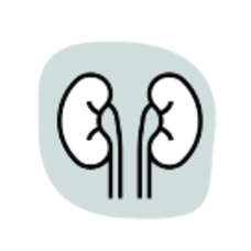 Ureteric Stent