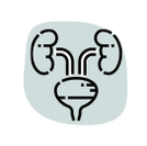 <a href=&rdquo;https://www.flaticon.com/free-icons/urinary&rdquo; title=&rdquo;urinary icons&rdquo;>Urinary icons created by Freepik - Flaticon</a>