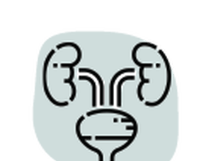 Vesicoureteric Reflux
